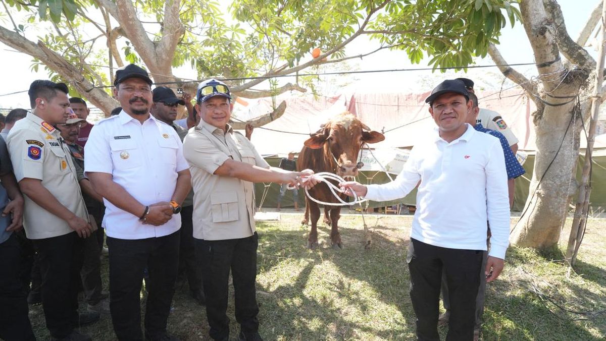 Bantuan Daging Sapi Prabowo Aceh