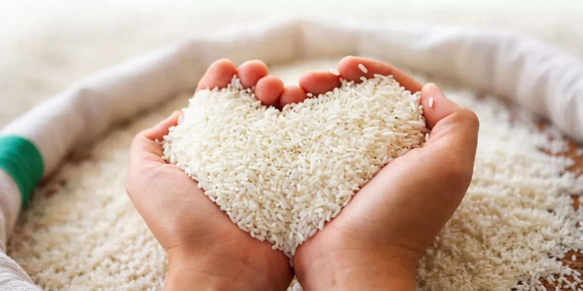 Baznas RI Resmi Tetapkan Besaran Zakat Fitrah 2026: Simak Rincian Uang dan Beras Terbaru!