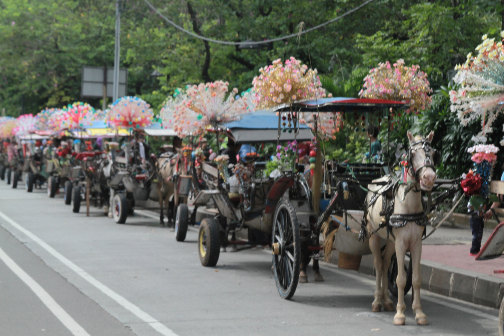 Langkah Berani Menhub: Larangan Delman Beroperasi Terbukti Ampuh Lancarkan Arus Mudik Lebaran