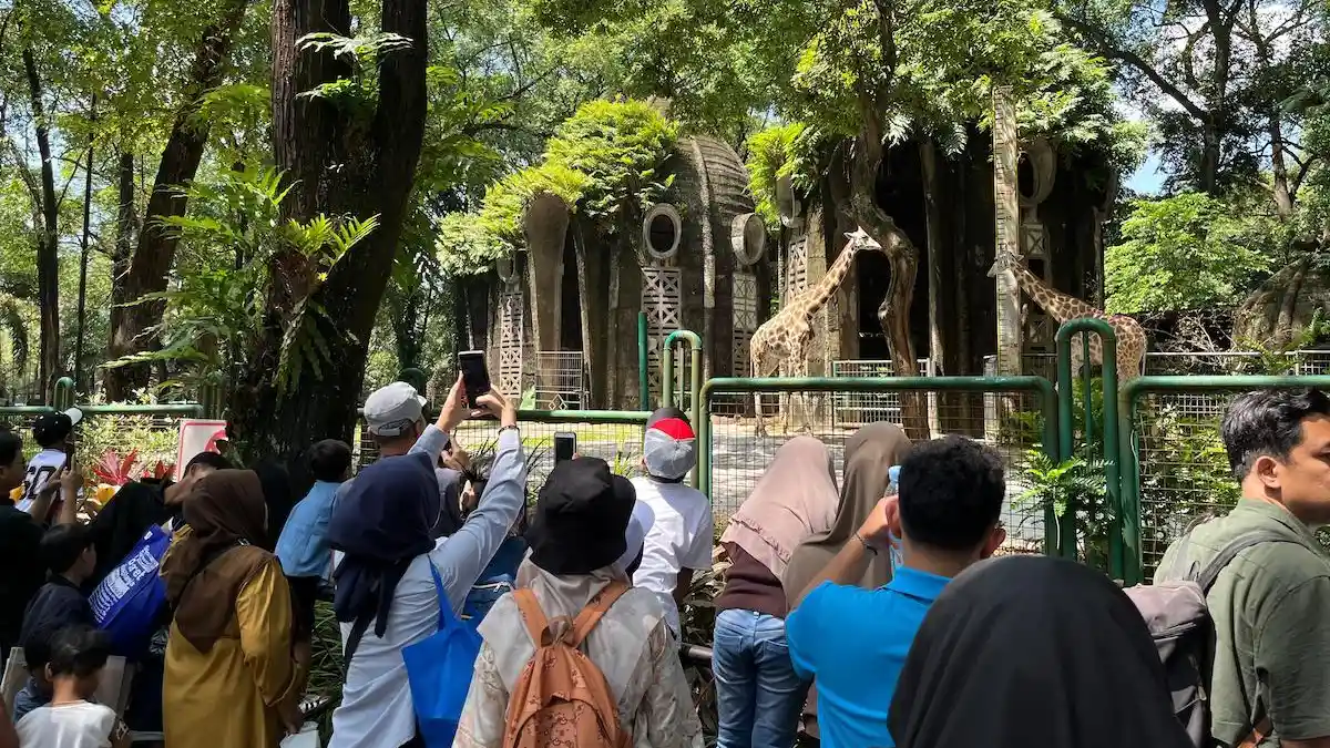Ragunan Kembali Dibuka Usai Libur Lebaran, Pengunjung Wajib Perhatikan Hal Ini!