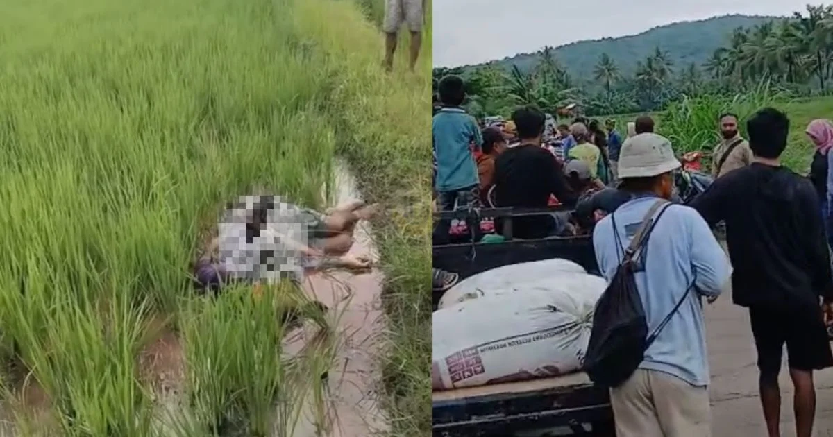 Pembunuhan Petani di Bone